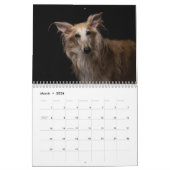 Calendrier 2020 Silken Windhounds (1-1) (Mar 2026)