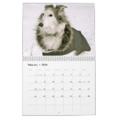 Calendrier 2020 Silken Windhounds (1-1) (Feb 2026)
