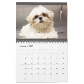 Calendrier 2020 sur le mur de protection des anima (Jan 2027)