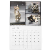 Calendrier 2020 sur le mur de protection des anima (Mar 2026)