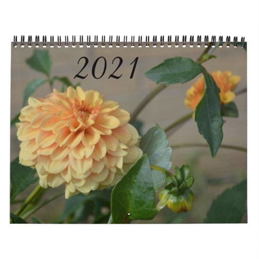 Calendrier 2021 avec 12 mois de dahlias (Protection)