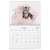 Calendrier 2021 Cutés de cuisine chats et chatons (Feb 2026)