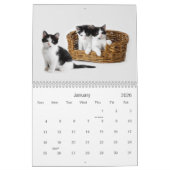 Calendrier 2021 Cutés de cuisine chats et chatons (Jan 2026)