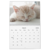 Calendrier 2021 Cutés de cuisine chats et chatons (Mar 2026)