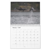 Calendrier 2021 - Dauphins à face blanche du Pacif (Feb 2027)