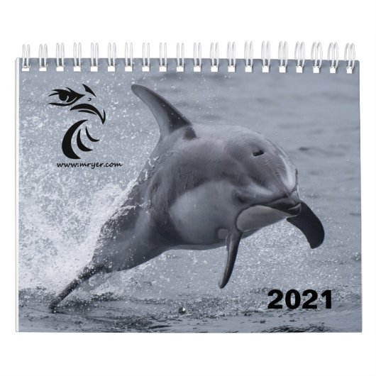 Calendrier 2021 - Dauphins à face blanche du Pacif (Protection)