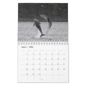 Calendrier 2021 - Dauphins à face blanche du Pacif (Mar 2026)