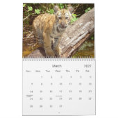 Calendrier 2021 de la faune des Big Cats (Mar 2027)