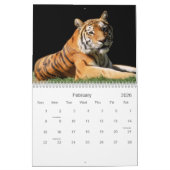 Calendrier 2021 de la faune des Big Cats (Feb 2026)