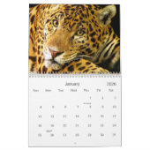 Calendrier 2021 de la faune des Big Cats (Jan 2026)