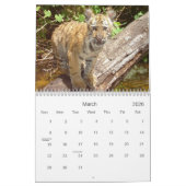 Calendrier 2021 de la faune des Big Cats (Mar 2026)