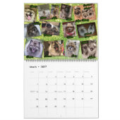 Calendrier 2021 de la trompette Keeshond (Mar 2027)