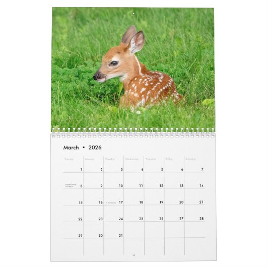 Calendrier 2021 des cerfs à queue blanche (Mar 2026)