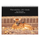 Calendrier 2021 des cerfs à queue blanche (Protection)