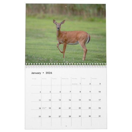 Calendrier 2021 des cerfs à queue blanche (Jan 2026)