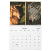 Calendrier 2021 des loups de la faune (Jan 2026)