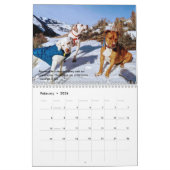Calendrier 2021 des Pointers & Pals par PointerRes (Feb 2026)