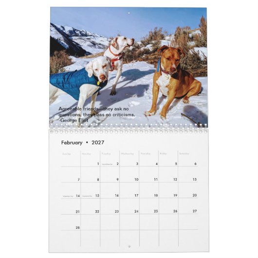 Calendrier 2021 des Pointers & Pals par PointerRes (Feb 2027)