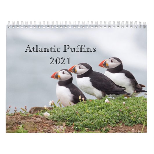 Calendrier 2021 des pouffins de l'Atlantique (Protection)