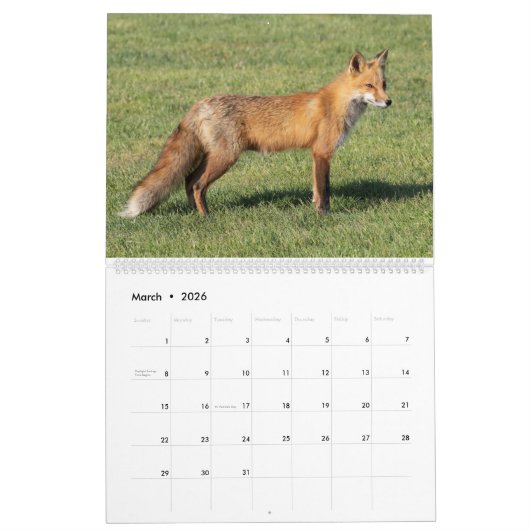 Calendrier 2021 des Renards Rouges (Mar 2026)