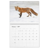 Calendrier 2021 des Renards Rouges (Feb 2027)