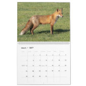 Calendrier 2021 des Renards Rouges (Mar 2027)