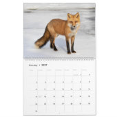 Calendrier 2021 des Renards Rouges (Jan 2027)