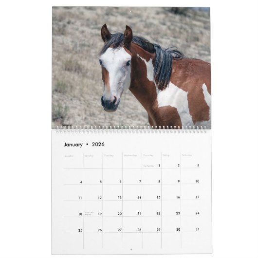 Calendrier 2021 du bassin de lavage de sable (Jan 2026)