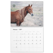 Calendrier 2021 du bassin de lavage de sable (Feb 2027)