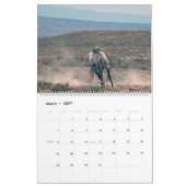Calendrier 2021 du bassin de lavage de sable (Mar 2027)