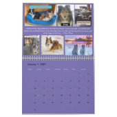 Calendrier 2021 du Minnesota Sheltie Secourt (Jan 2027)