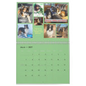 Calendrier 2021 du Minnesota Sheltie Secourt (Mar 2027)