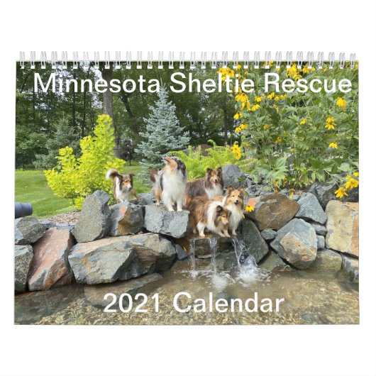 Calendrier 2021 du Minnesota Sheltie Secourt (Protection)