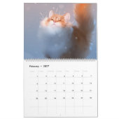 Calendrier 2021 Tout sur les chats ! (Feb 2027)