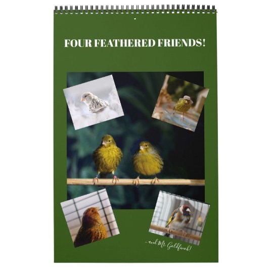Calendrier 2021 Wall Calendar Mignons Oiseaux Animaux Animaux (Protection)
