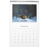 Calendrier 2021 Wall Calendar Mignons Oiseaux Animaux Animaux (Jan 2026)