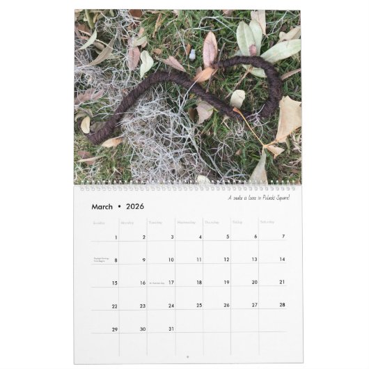Calendrier 2022 11x14 Savannah Tumbleweaves (Mar 2026)