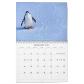Calendrier 2022 - Antarctique (Feb 2027)