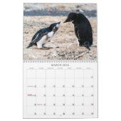 Calendrier 2022 - Antarctique (Mar 2026)