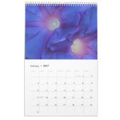 CALENDRIER 2022: BEAUTÉ DE LA SALLE (Jan 2027)