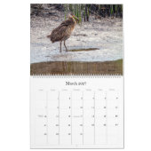 Calendrier 2022 Birding in Florida Calendar (Mar 2027)