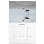 Calendrier 2022 Birding in Florida Calendar (Jan 2027)