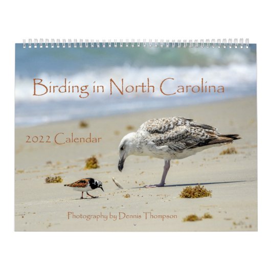Calendrier 2022 Birding in North Carolina Calendar (Protection)