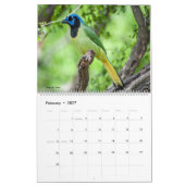 Calendrier 2022 Birds of North America Calendar (Feb 2027)