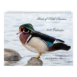 Calendrier 2022 Birds of North America Calendar