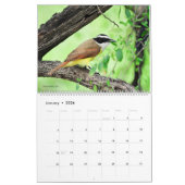 Calendrier 2022 Birds of North America Calendar (Jan 2026)