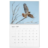 Calendrier 2022 Birds of North America Calendar (Mar 2027)