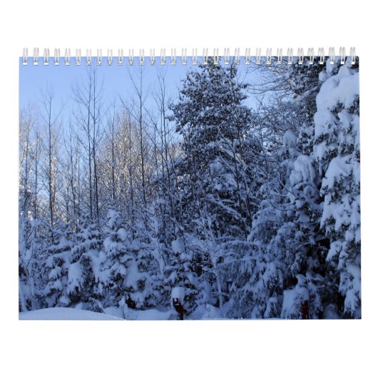 Calendrier 2022 Calendar Nature in Winter  (Dos)