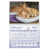 Calendrier 2022 de la muraille de chat Ginger (Feb 2027)