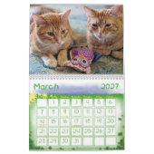 Calendrier 2022 de la muraille de chat Ginger (Mar 2027)